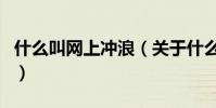 什么叫網上沖浪(關于什么叫網上沖浪的介紹)