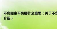不負如來不負卿什么意思(關于不負如來不負卿什么意思的介紹)