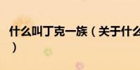 什么叫丁克一族(關于什么叫丁克一族的介紹)