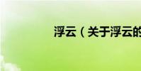 浮云(關于浮云的介紹)