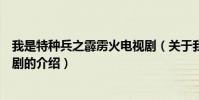 我是特種兵之霹靂火電視劇(關于我是特種兵之霹靂火電視劇的介紹)