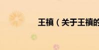 王禛(關于王禛的介紹)