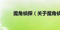 魔角偵探(關于魔角偵探的介紹)