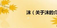 沫(關于沫的介紹)