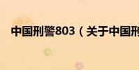 中國刑警803(關于中國刑警803的介紹)