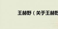 王赫野(關于王赫野的介紹)