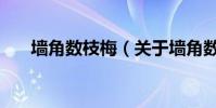 墻角數枝梅(關于墻角數枝梅的介紹)
