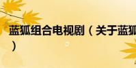 藍狐組合電視劇(關于藍狐組合電視劇的介紹)
