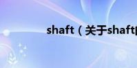 shaft(關于shaft的介紹)