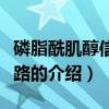 磷脂酰肌醇信號通路（關于磷脂酰肌醇信號通路的介紹）