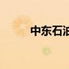 中東石油(關于中東石油的介紹)