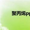 聚丙烯pp(關于聚丙烯pp的介紹)