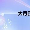 大月氏（關于大月氏的介紹）