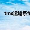 tms運輸系統（關于tms運輸系統的介紹）