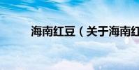海南紅豆(關于海南紅豆的介紹)