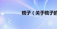 梳子(關于梳子的介紹)