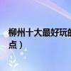 柳州十大最好玩的地方（柳州哪里好玩柳州有哪些好玩的景點）