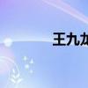 王九龍（關于王九龍的介紹）