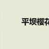 平壩櫻花（關于平壩櫻花的介紹）