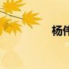 楊偉（關于楊偉的介紹）