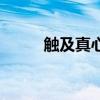 觸及真心（關于觸及真心的介紹）