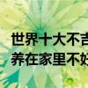 世界十大不吉利花（十大黑暗之花盤點哪些花養在家里不好）
