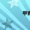 甲胄（關于甲胄的介紹）