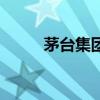 茅臺集團（關于茅臺集團的介紹）