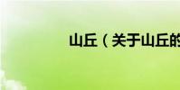 山丘(關于山丘的介紹)