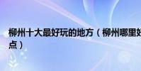 柳州十大最好玩的地方(柳州哪里好玩柳州有哪些好玩的景點)