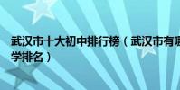 武漢市十大初中排行榜(武漢市有哪些好中學武漢市重點中學排名)