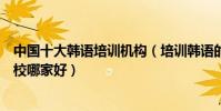 中國十大韓語培訓機構(培訓韓語的機構有哪些韓語培訓學校哪家好)