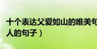 十個表達父愛如山的唯美句子(表達父愛最感人的句子)