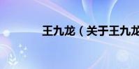 王九龍(關于王九龍的介紹)