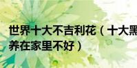 世界十大不吉利花(十大黑暗之花盤點哪些花養在家里不好)
