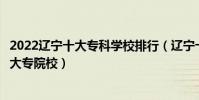 2022遼寧十大專科學校排行(遼寧十大高職院校遼寧最好的大專院校)