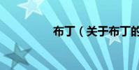 布丁(關于布丁的介紹)