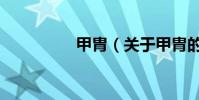 甲胄(關于甲胄的介紹)