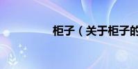 柜子(關于柜子的介紹)