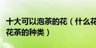 十大可以泡茶的花(什么花可以泡茶喝最常見花茶的種類)
