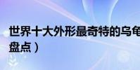 世界十大外形最奇特的烏龜(長相奇葩的龜類盤點)