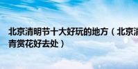 北京清明節十大好玩的地方(北京清明節哪里踏青好帝都踏青賞花好去處)