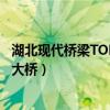 湖北現代橋梁TOP10（湖北著名橋梁有哪些湖北有幾座長江大橋）
