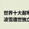世界十大耐寒樹木（什么樹木最耐寒它們傲霜凌雪遺世獨立）
