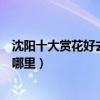 沈陽十大賞花好去處（沈陽看花的景點推薦沈陽最美花海在哪里）