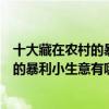十大藏在農村的暴利小生意（農村新型不起眼的商機不起眼的暴利小生意有哪些）