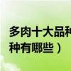 多肉十大品種（多肉種類大全常見多肉植物品種有哪些）