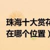 珠海十大賞花景點（珠海看花好去處珠海花海在哪個位置）