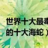 世界十大最毒的海蛇（海蛇毒性排名毒性最強的十大海蛇）