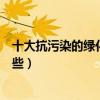 十大抗污染的綠化樹（吸灰塵的綠化樹抗霧霾綠化樹種有哪些）